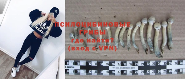 дживик Нязепетровск