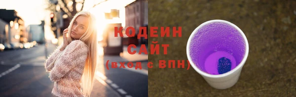 молекула духа Няндома