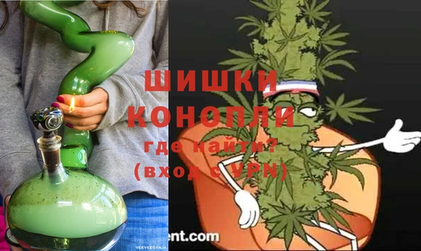 молекула духа Няндома