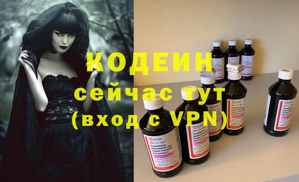 молекула духа Няндома