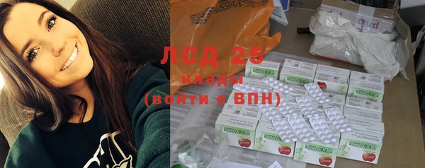 молекула духа Няндома