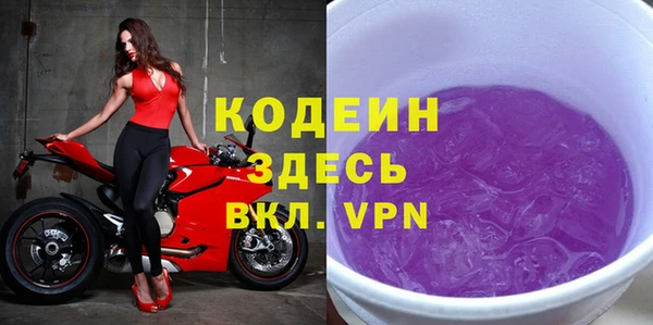 молекула духа Няндома