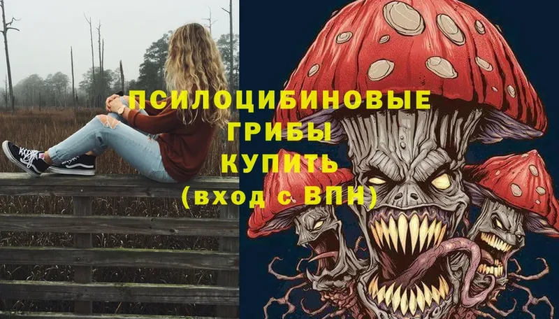 где можно купить наркотик  мега ссылка  Псилоцибиновые грибы Psilocybine cubensis  Прохладный 