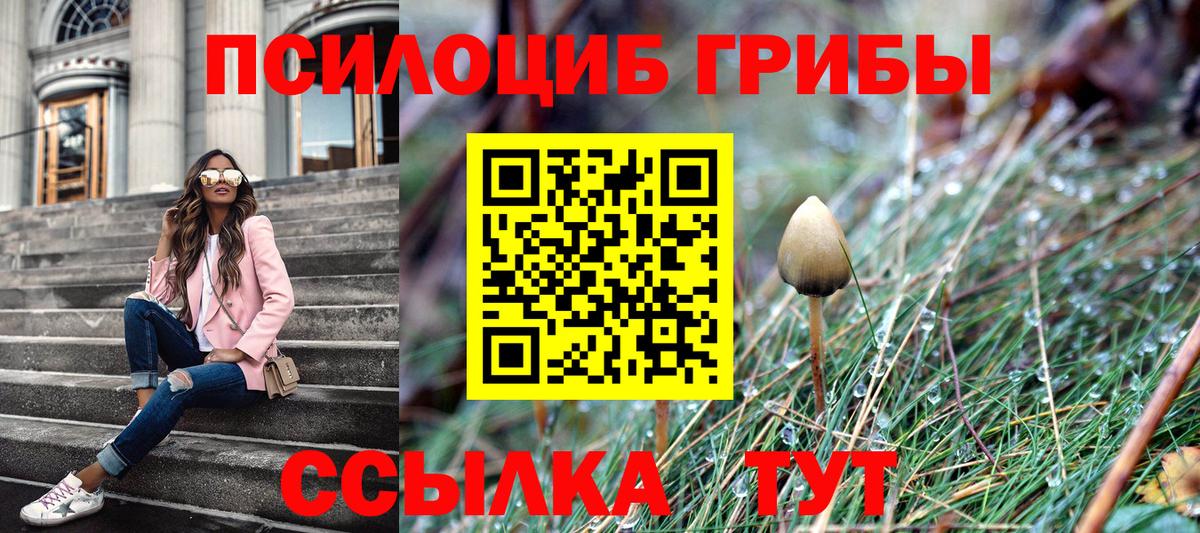 Галлюциногенные грибы MAGIC MUSHROOMS  Псилоцибиновые грибы Cubensis  Прохладный 